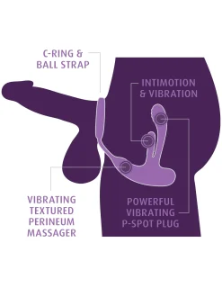 Anal Fantasy - Ass-Gasm IntiMotion - Zwart