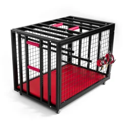 BDSM Metal Cage