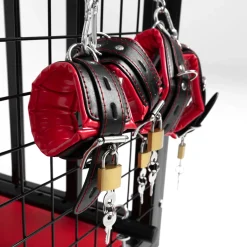 BDSM Metal Cage