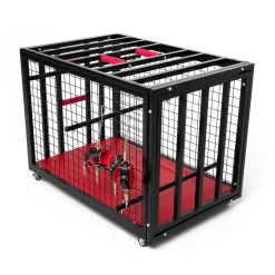BDSM Metal Cage