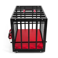 BDSM Metal Cage