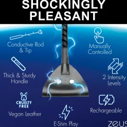 E-Stim Paddle