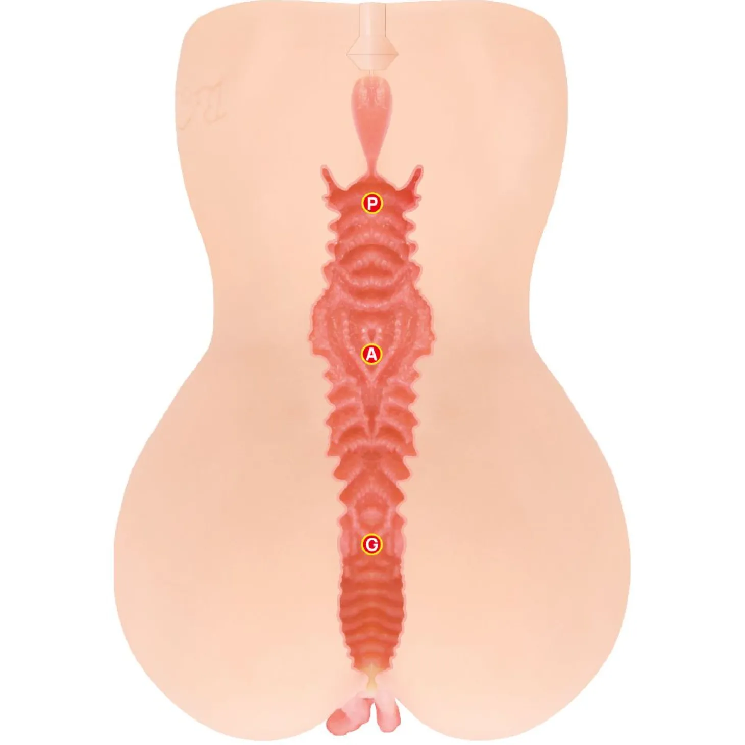 Kokos - Onahole Edition 001 Double Layer XL Masturbator