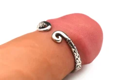 Master Series - Roestvrijstalen Glansring - Zilver