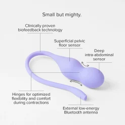 Perifit Care+ Dynamische Kegel-oefenapparaat - Lila