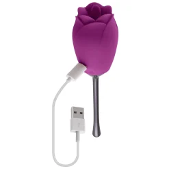 Playboy- Petal vibrator - Paars/zwart