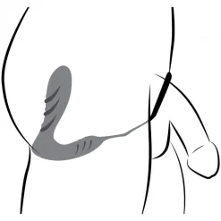 Prostaat Vibrator en Cockring met Afstandsbediening